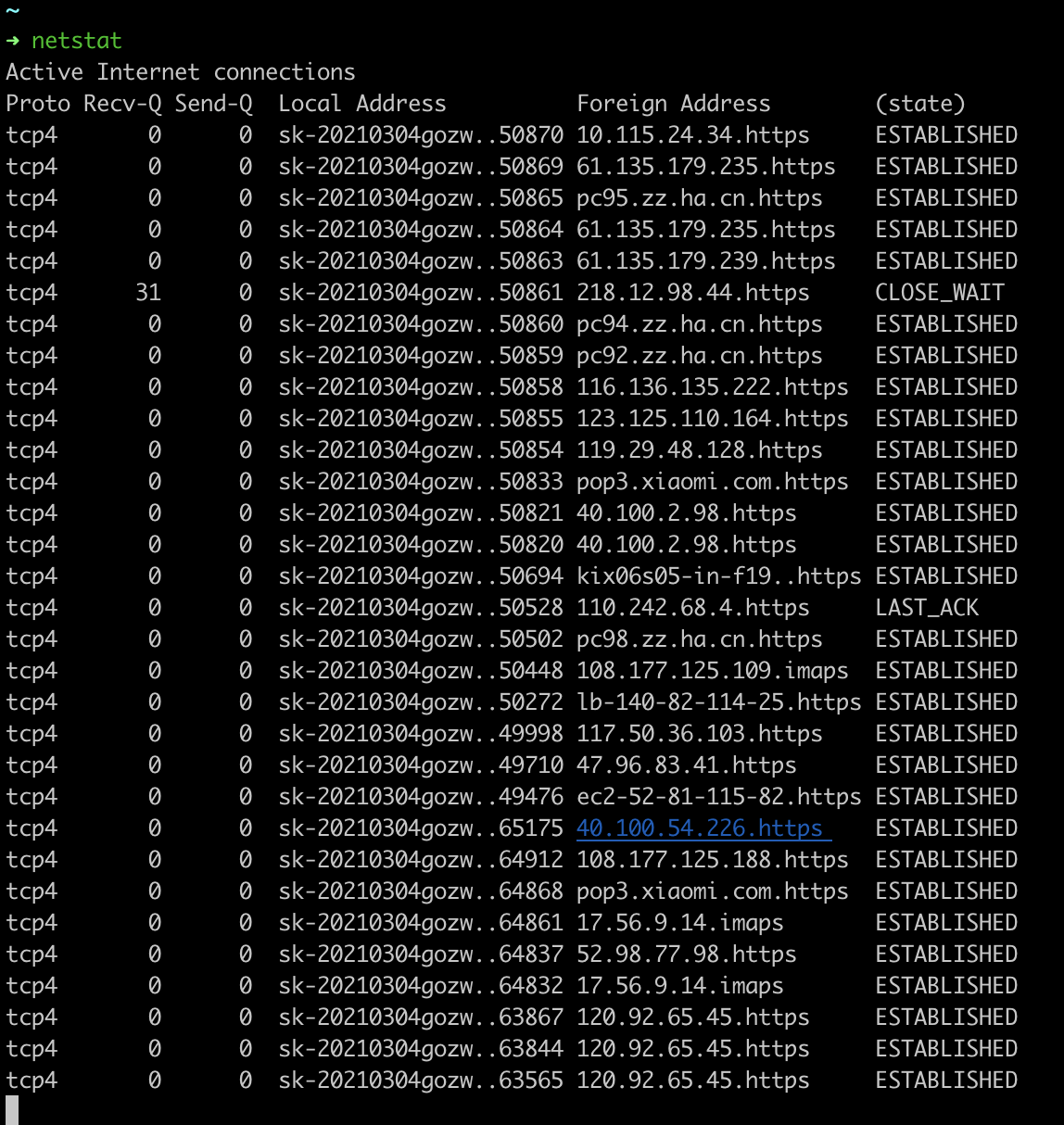 netstat 运行结果